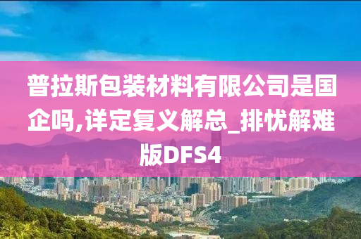 普拉斯包装材料有限公司是国企吗,详定复义解总_排忧解难版DFS4