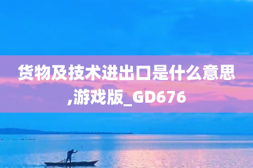 货物及技术进出口是什么意思,游戏版_GD676