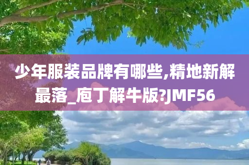 少年服装品牌有哪些,精地新解最落_庖丁解牛版?JMF56