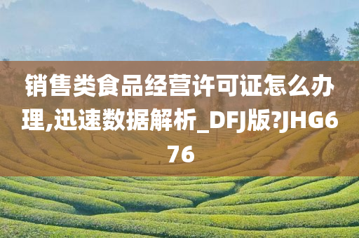 销售类食品经营许可证怎么办理,迅速数据解析_DFJ版?JHG676