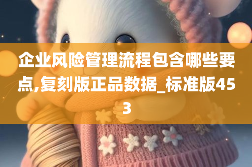 企业风险管理流程包含哪些要点,复刻版正品数据_标准版453