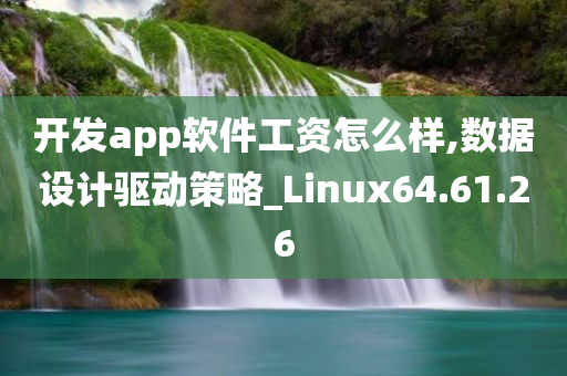 开发app软件工资怎么样,数据设计驱动策略_Linux64.61.26