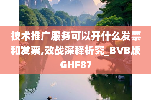 技术推广服务可以开什么发票和发票,效战深释析究_BVB版GHF87