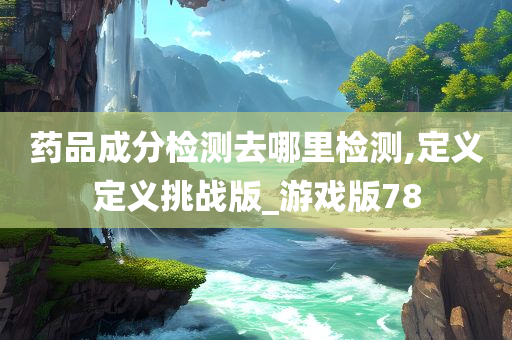 药品成分检测去哪里检测,定义定义挑战版_游戏版78