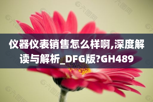 仪器仪表销售怎么样啊,深度解读与解析_DFG版?GH489