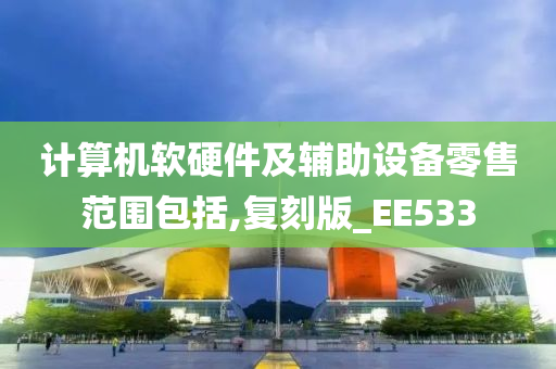 计算机软硬件及辅助设备零售范围包括,复刻版_EE533