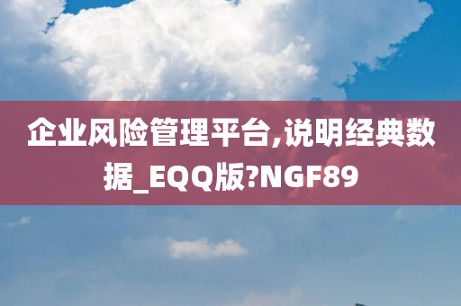 企业风险管理平台,说明经典数据_EQQ版?NGF89