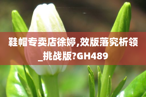 鞋帽专卖店徐婷,效版落究析领_挑战版?GH489