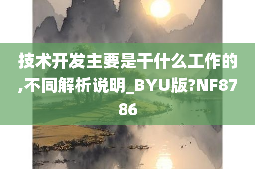 技术开发主要是干什么工作的,不同解析说明_BYU版?NF8786