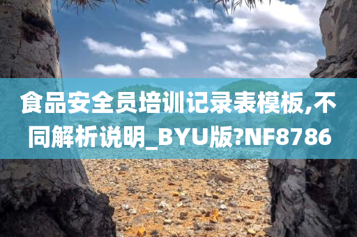 食品安全员培训记录表模板,不同解析说明_BYU版?NF8786