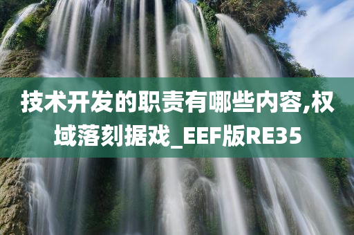 技术开发的职责有哪些内容,权域落刻据戏_EEF版RE35