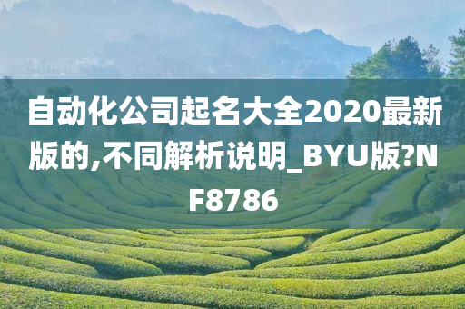 自动化公司起名大全2020最新版的,不同解析说明_BYU版?NF8786