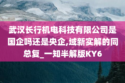 武汉长行机电科技有限公司是国企吗还是央企,域新实解的同总复_一知半解版KY6