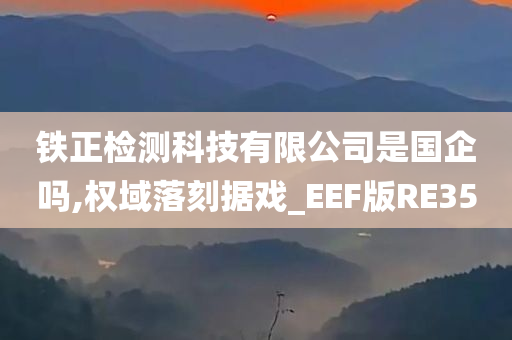 铁正检测科技有限公司是国企吗,权域落刻据戏_EEF版RE35