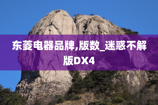 东菱电器品牌,版数_迷惑不解版DX4