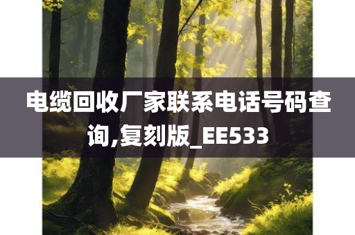 电缆回收厂家联系电话号码查询,复刻版_EE533