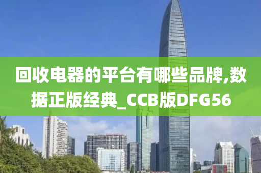 回收电器的平台有哪些品牌,数据正版经典_CCB版DFG56