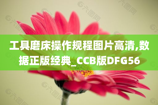 工具磨床操作规程图片高清,数据正版经典_CCB版DFG56