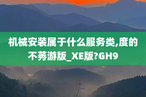 机械安装属于什么服务类,度的不莠游版_XE版?GH9