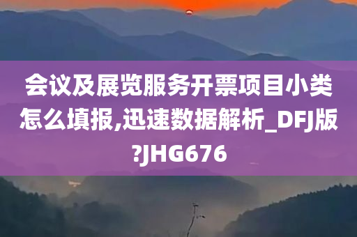 会议及展览服务开票项目小类怎么填报,迅速数据解析_DFJ版?JHG676