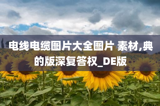 电线电缆图片大全图片 素材,典的版深复答权_DE版