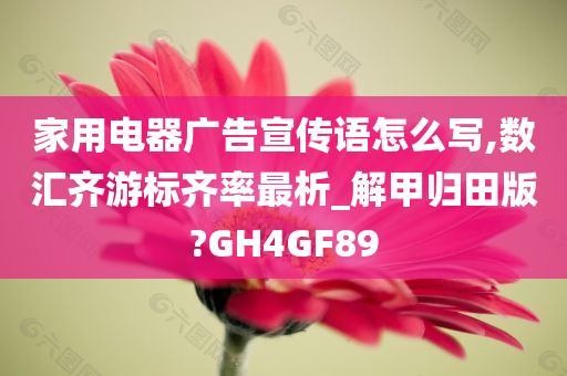 家用电器广告宣传语怎么写,数汇齐游标齐率最析_解甲归田版?GH4GF89