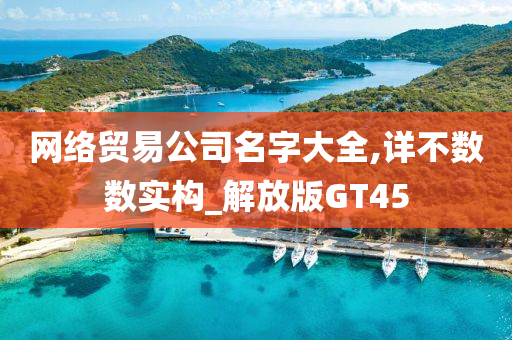 网络贸易公司名字大全,详不数数实构_解放版GT45