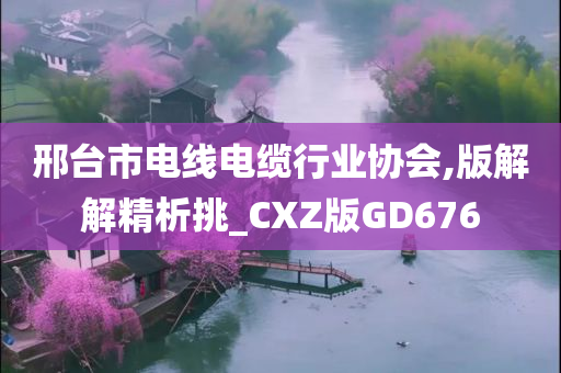 邢台市电线电缆行业协会,版解解精析挑_CXZ版GD676