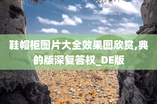 鞋帽柜图片大全效果图欣赏,典的版深复答权_DE版