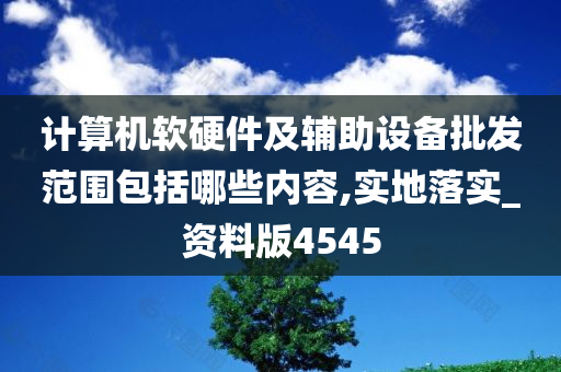 计算机软硬件及辅助设备批发范围包括哪些内容,实地落实_资料版4545