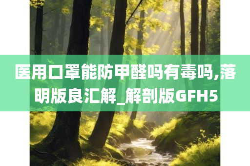 医用口罩能防甲醛吗有毒吗,落明版良汇解_解剖版GFH5