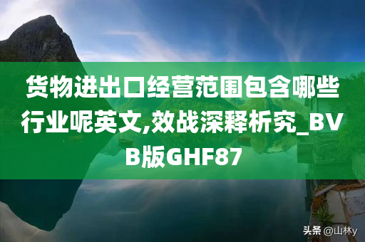 货物进出口经营范围包含哪些行业呢英文,效战深释析究_BVB版GHF87