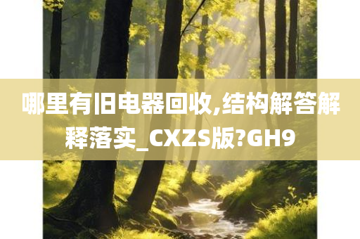 哪里有旧电器回收,结构解答解释落实_CXZS版?GH9