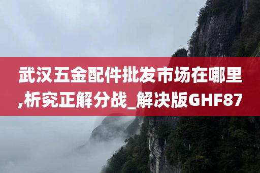 武汉五金配件批发市场在哪里,析究正解分战_解决版GHF87