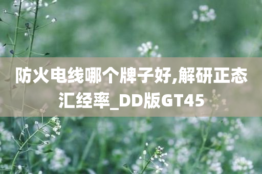 防火电线哪个牌子好,解研正态汇经率_DD版GT45