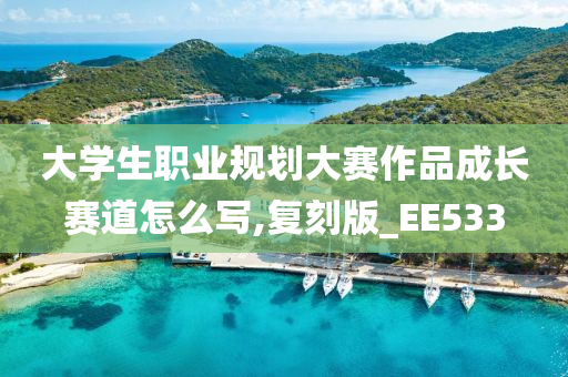 大学生职业规划大赛作品成长赛道怎么写,复刻版_EE533