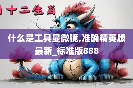 什么是工具显微镜,准确精英版最新_标准版888