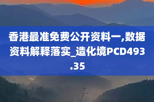 香港最准免费公开资料一,数据资料解释落实_造化境PCD493.35