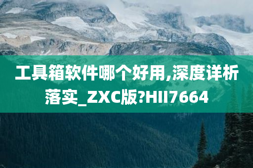 工具箱软件哪个好用,深度详析落实_ZXC版?HII7664