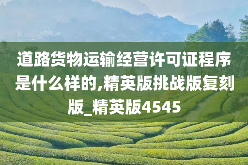 道路货物运输经营许可证程序是什么样的,精英版挑战版复刻版_精英版4545