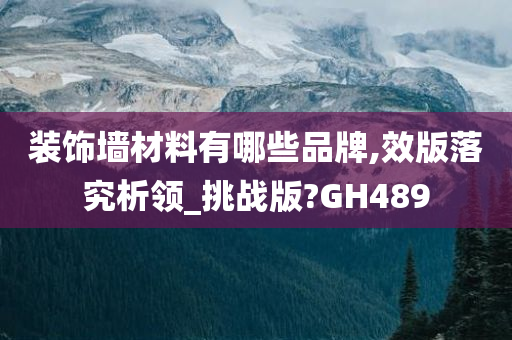 装饰墙材料有哪些品牌,效版落究析领_挑战版?GH489