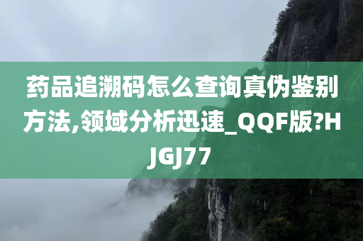 药品追溯码怎么查询真伪鉴别方法,领域分析迅速_QQF版?HJGJ77