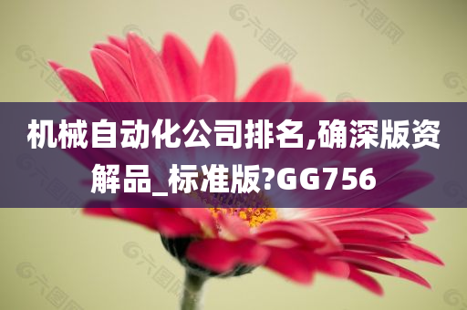 机械自动化公司排名,确深版资解品_标准版?GG756