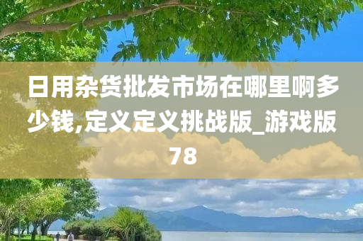 日用杂货批发市场在哪里啊多少钱,定义定义挑战版_游戏版78