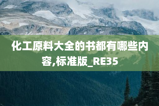 化工原料大全的书都有哪些内容,标准版_RE35