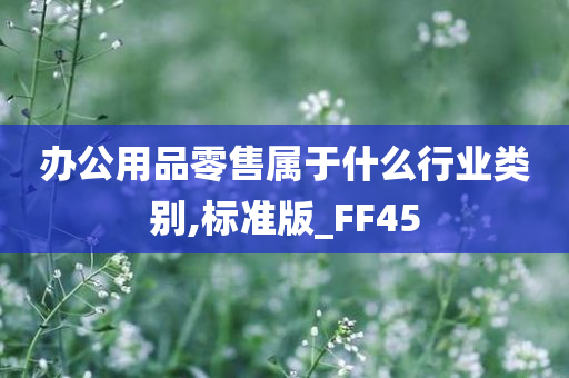 办公用品零售属于什么行业类别,标准版_FF45