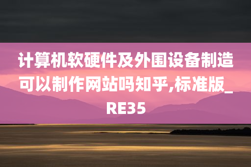 计算机软硬件及外围设备制造可以制作网站吗知乎,标准版_RE35