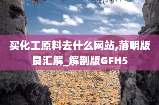 买化工原料去什么网站,落明版良汇解_解剖版GFH5