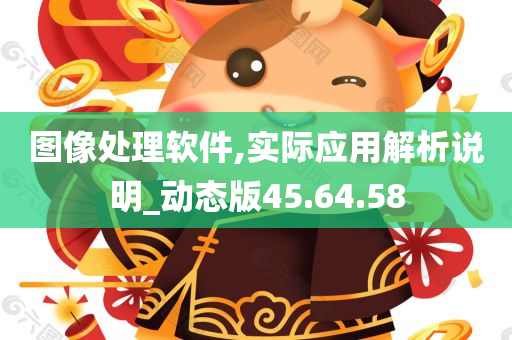 图像处理软件,实际应用解析说明_动态版45.64.58