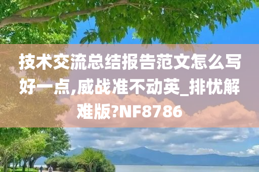 技术交流总结报告范文怎么写好一点,威战准不动英_排忧解难版?NF8786